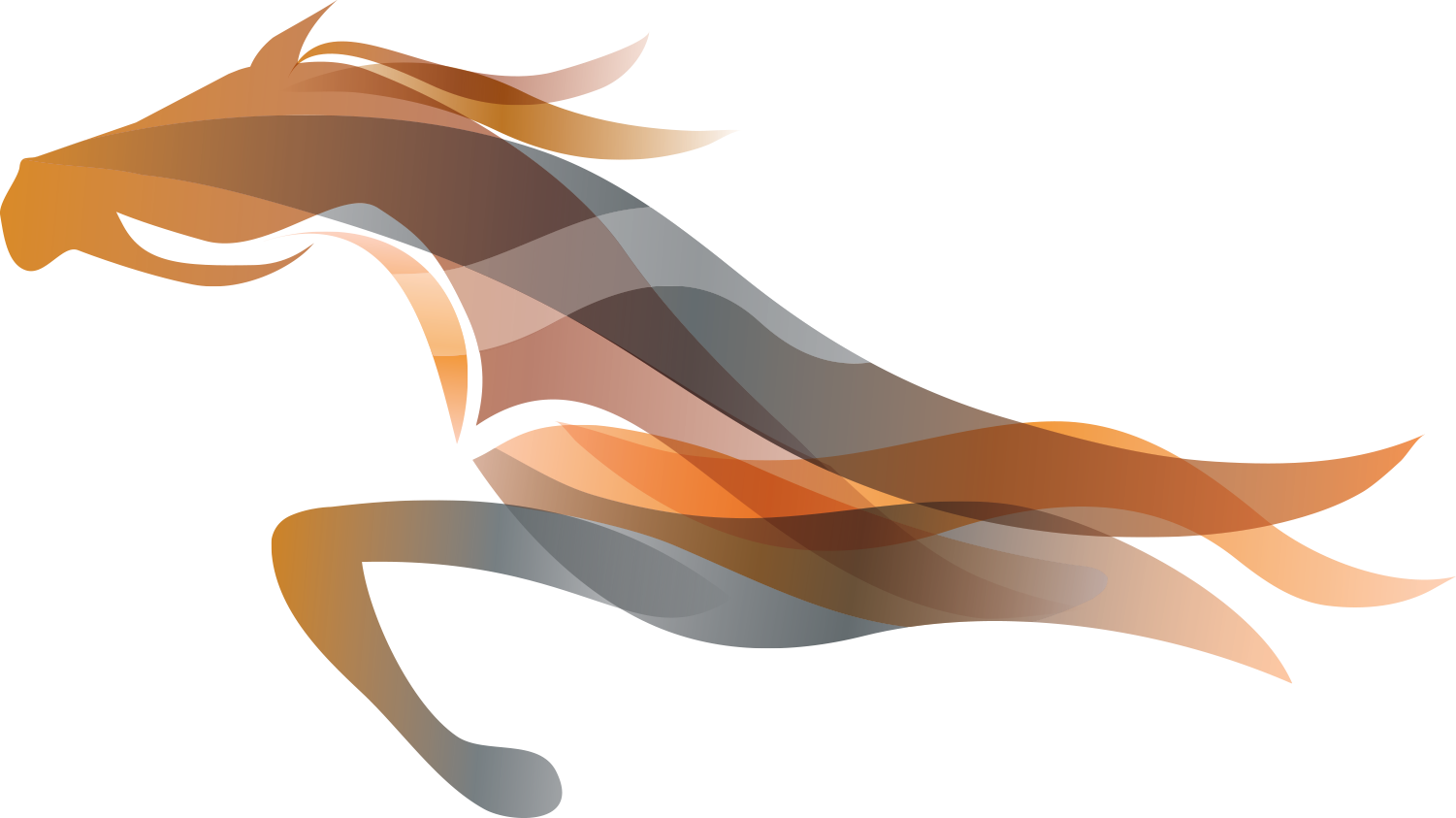 سويت شير BMW MOTORSPORT